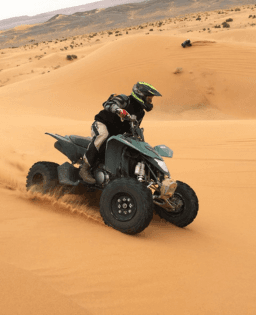 Desert Safari