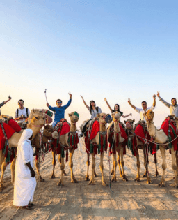 Group Tours